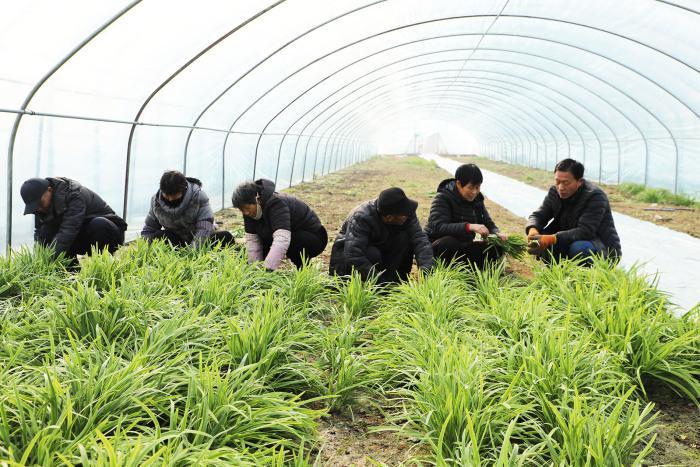 阳信地区最新就业招聘资讯