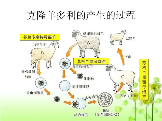 遘昧鲑釅徇上菁芜