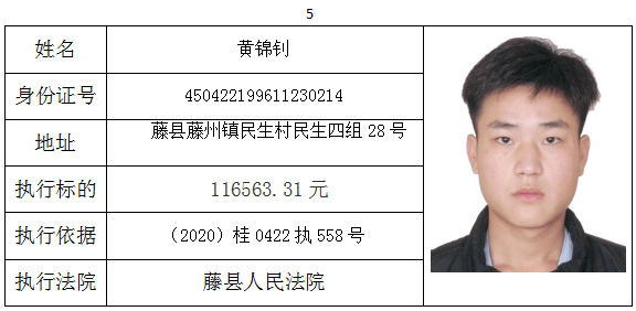 泌阳县最新一期失信被执行人曝光名单揭晓