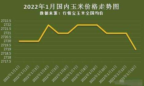 玉米市场实时动态与最新价格走势一览